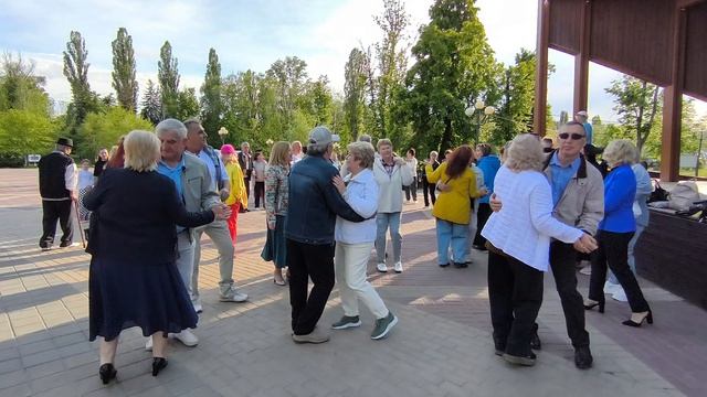 Белая берёза.... 31.05.26.