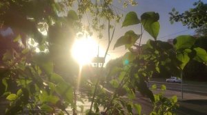 30 мая СЕНСАЦИЯ Магический ☀️ прогноз погоды от волшебника на 31 мая