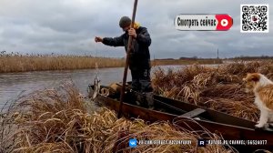 Живу в тёплой палатке с верным другом + Отличная рыбалка под дождём