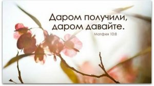 Даром получаем и отдаем , ТС 126