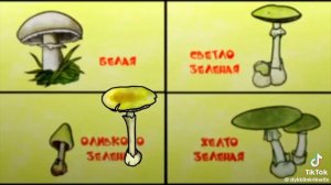 5. почемучка