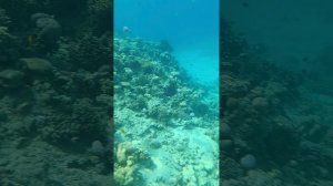Grand Waterworld makadi | Водный мир