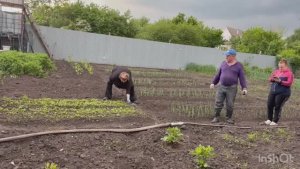 ОХ, УЖ ЭТИ ОГОРОДНЫЕ ДЕЛА 🧑🌾🌿☘️🙃/ жизнь здесь и сейчас ✅❤️❤️❤️