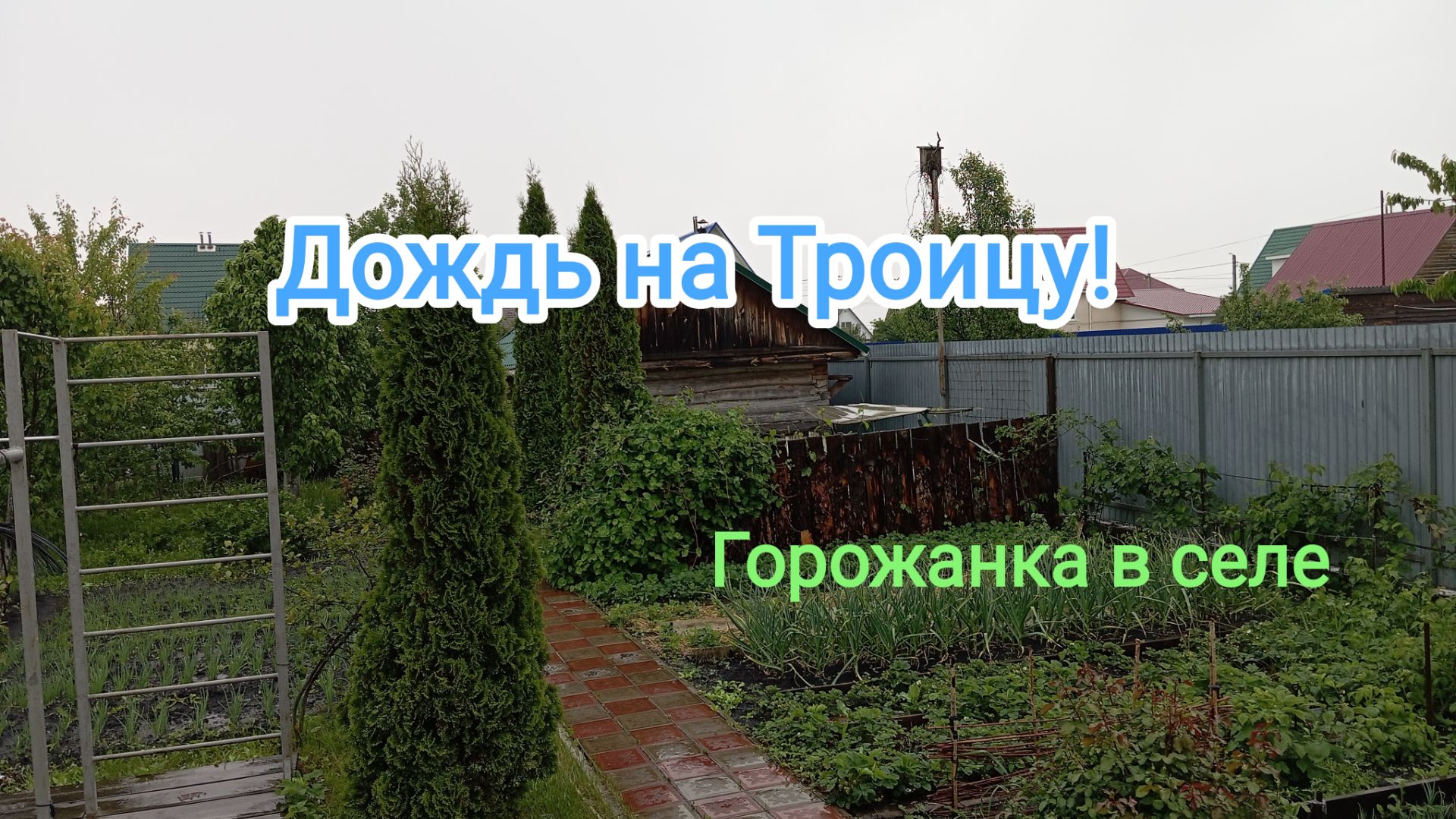 Дождь на Троицу.