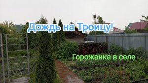 Дождь на Троицу.