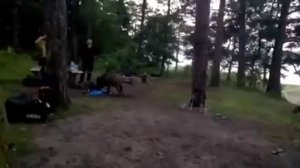 Кабанчики