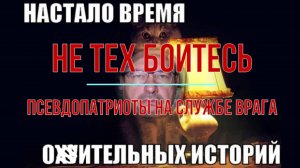 Псевдопатриоты на службе врага