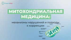 Митохондриальная медицина: механизмы нарушений и подходы к коррекции