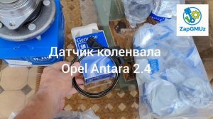 ZapGMUz: отправка 05.06.26 приводы Каптива 2.2 сайлентблоки, ступица