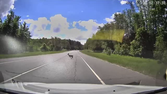 Иногда и такое бывает Случайный кадр С видиорегистратора