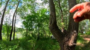 Озёра. Не хочет клевать рыба