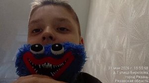 первый Стрим