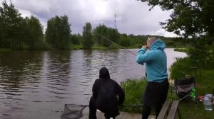 Светлые Горы Карп3 31.05.2026г.