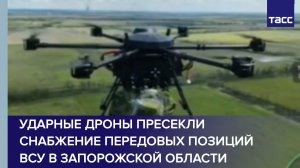 Ударные дроны пресекли снабжение передовых позиций ВСУ в Запорожской области