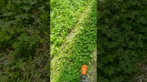 VID_20260531_132652.mp4