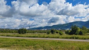 Гуляем с собаками/Покупки/Ежедневный влог