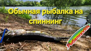 [2026]Рыбалка на спиннинг в мае 3