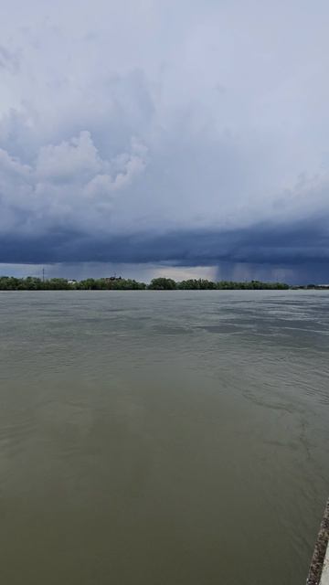 Уровень воды в реке Кубань достиг опасных отметок