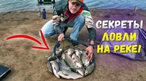 Как ловить много язя на реке!_ Бешеный клёв. Рыбалка на фидер.