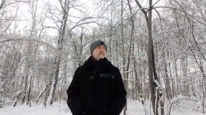 Вольный ветер.