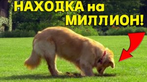 Покупая эту СОБАКУ и Подумать не Могли, что Станем МИЛЛИОНЕРАМИ, Пес ОТБЛАГОДАРИЛ по Полной!!!