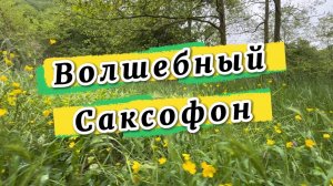 Волшебный  саксофон, удивительно красивая музыка для души