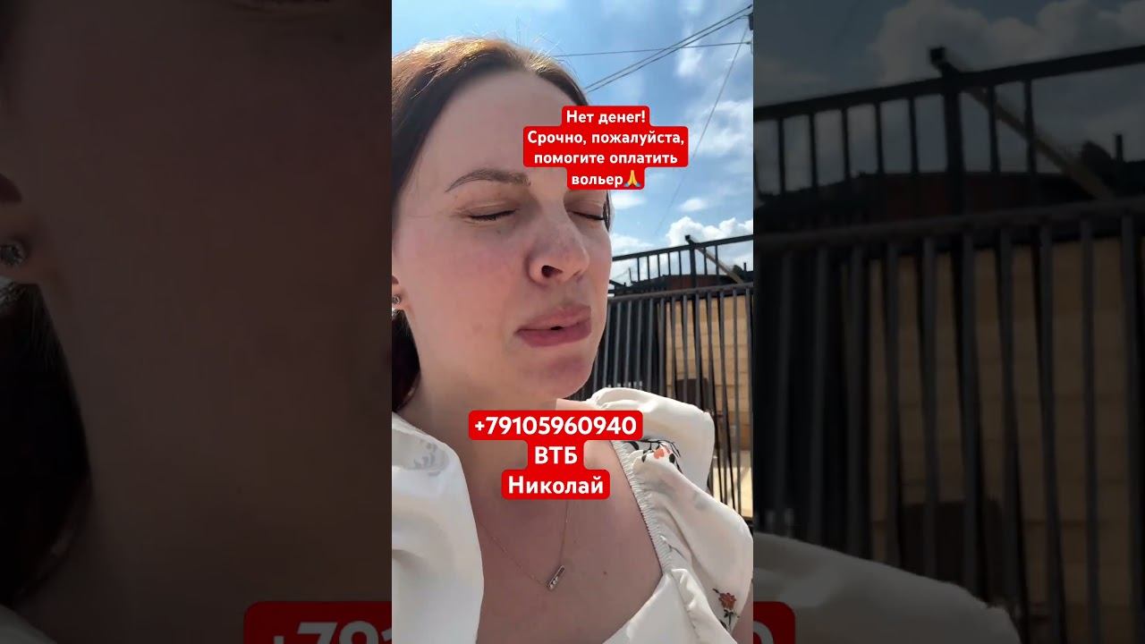 Мне очень стыдно, но мы ничего не собрали….
