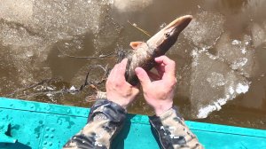 ПРОВЕРКА СЕТЕЙ ВО ЛЬДАХ. ГОТОВЛЮ ПЕРВЫЙ УЛОВ НА УЖИН. РЫБАЛКА НА СЕВЕРЕ.