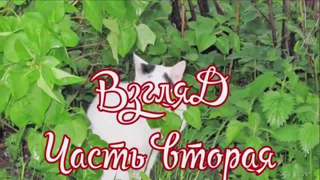 ВЗГЛЯД. Часть вторая