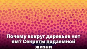 Почему вокруг деревьев нет ям- Секреты подземной жизни
