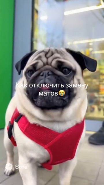 мопсы лава лава мать ша без матов смотреть онлайн