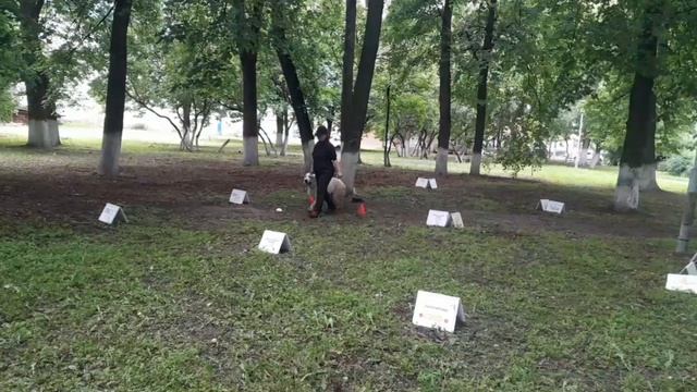 РО-4. Степанова Светлана и ЛУЧ. 