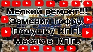 Заменил гофру масло и подушку в Весте.