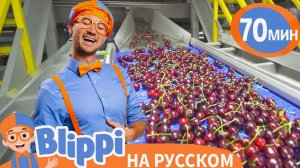 Блиппи на фабрике вишни ｜ Изучай этот мир вместе с  ｜ Обу