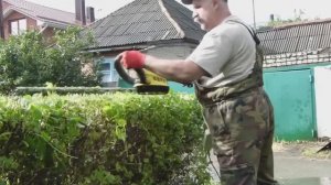Как подстрич кусты на клумбе
