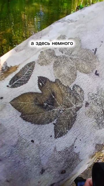 экопринт, крупные планы 2 смотреть онлайн