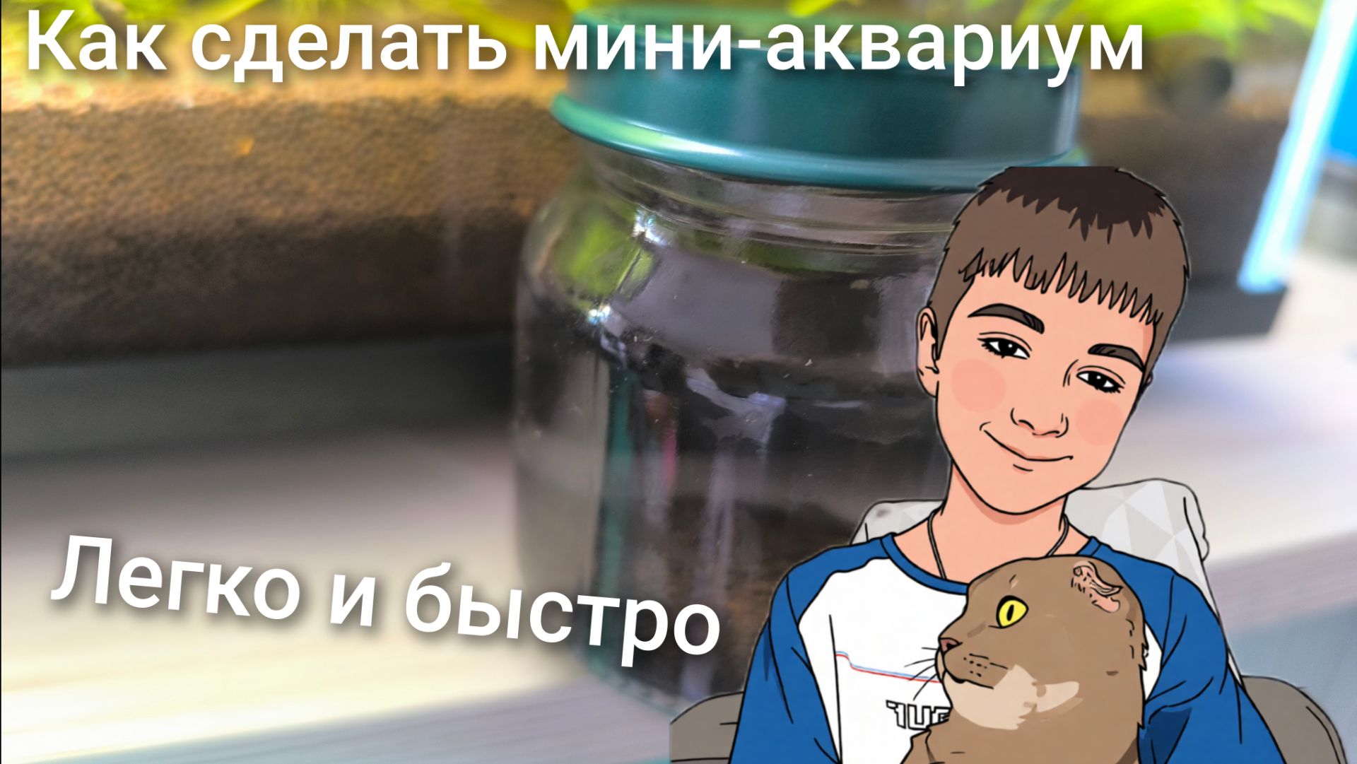 Как легко и быстро сделать мини-аквариум. смотреть онлайн