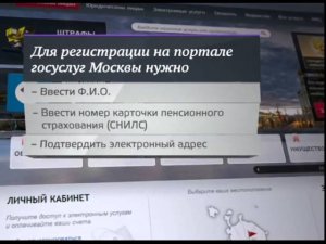 Штрафы за нарушение ПДД на портале госуслуг Москвы