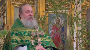 С праздником Святой Троицы. Протоиерей Сергий Кандыбин