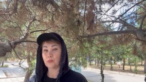 31 МАЯ ПОЛНОЛУНИЕ! ЗАГОВОР УБРАТЬ БЛОКИ С ВАШЕЙ ДОРОГИ!