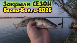 🔥Финал сезона: взяли мешок Карасей, Воблу, Судака и Лещей. Рыбалка в Астрахани! Волга-2026 !!