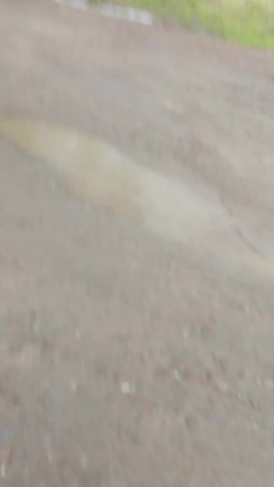 иду домой с гулянки