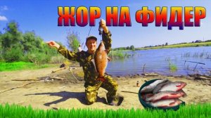 Рыбалка на фидер  _ Жор карася