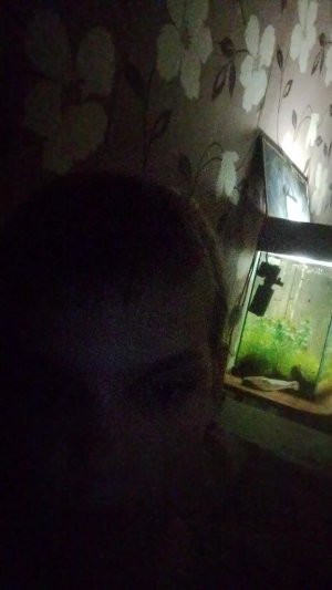 заходи пж