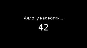 Алло, у нас котик - 42