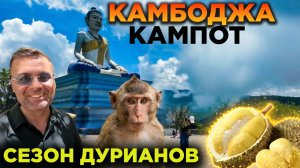 Камбоджа Кампот  едем в сезон дуриана