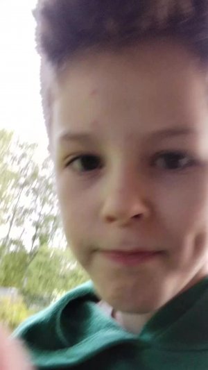 обзор на дачу