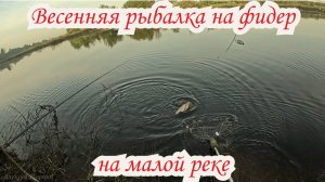 Рыбалка на фидер. Ловля весеннего леща на маой реке