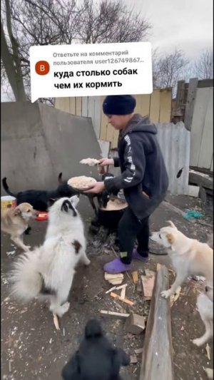 Куда их столько ? Чем кормить ?