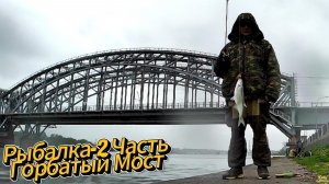 РЫБАЛКА  НЕВА 2 ЧАСТЬ ОХОТА НА ХИЩНИКА И МИРНУЮ РЫБУ ВЕЧЕРНЕЕ ВРЕМЯ ЛОКАЦИЯ ФИНСКИЙ МОСТ